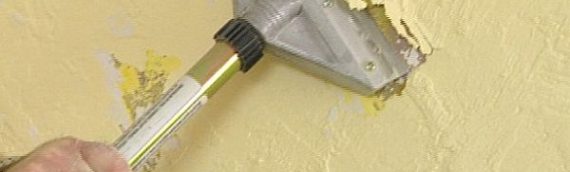 Làm thế nào để gỡ bỏ giấy decal dán tường đơn giản mà hiệu quả