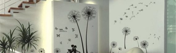 Bạn đã biết cách bảo quản decal dán tường chưa?
