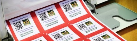 Decal là gì? Có những loại decal cơ bản nào?
