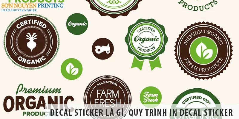 Decal sticker là gì, decal sticker quy trình in thế nào?