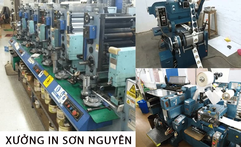 Xưởng in với máy móc đời mới là thế mạnh của Sơn Nguyên