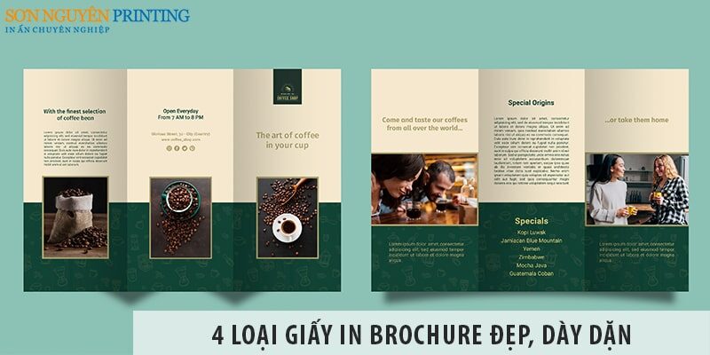 4 loại giấy in Brochure đẹp, dày dặn được đánh giá cao nhất