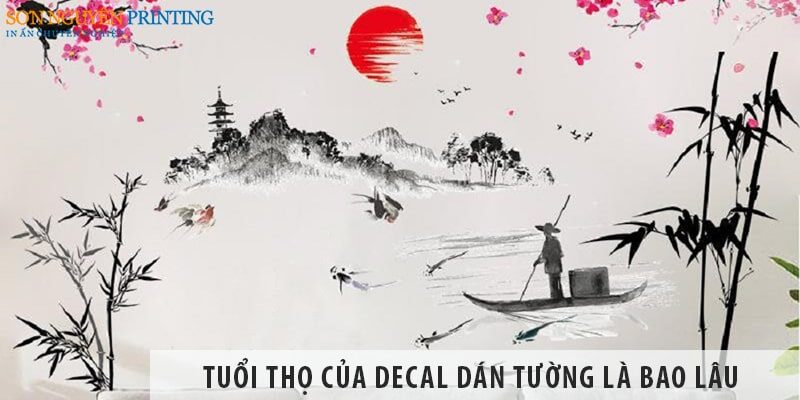 Tuổi thọ của decal dán tường là bao lâu, cách bảo quản?