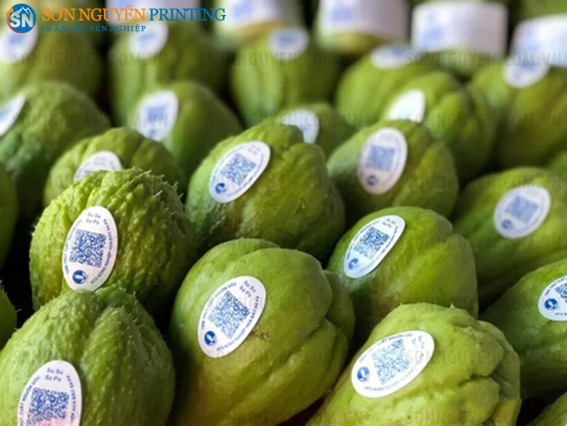 Mẫu tem nông sản phổ biến trên thị trường Mẫu tem nông sản phổ biến trên thị trường